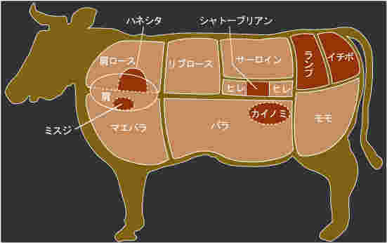 ハネシタがどこの部位か分かる牛の図