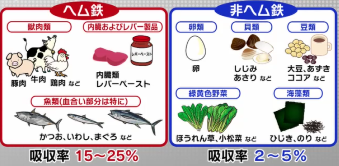 鉄分の多い食材のイラスト