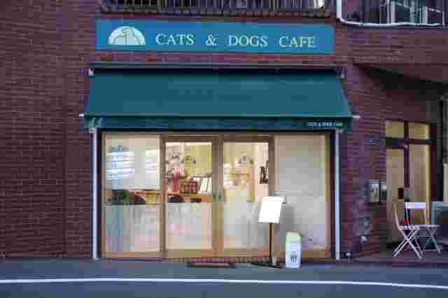 CATS&DOGS CAFEの外観