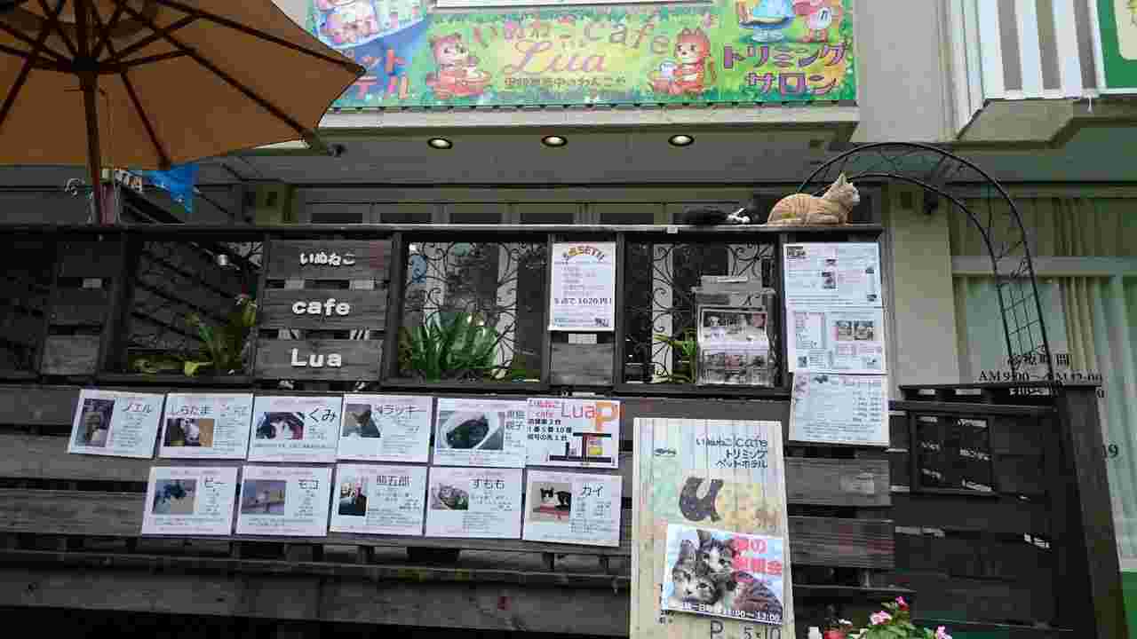 いぬねこcafeLuaの外観