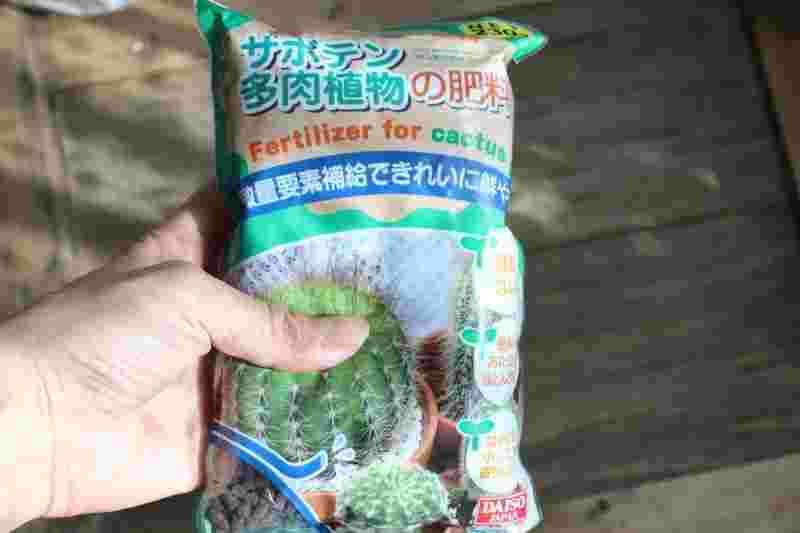 サボテンの肥料