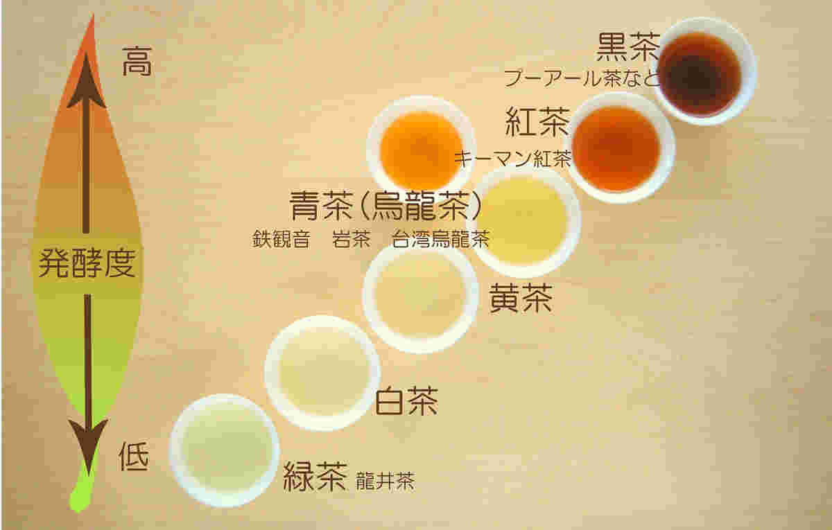 中国茶の分類