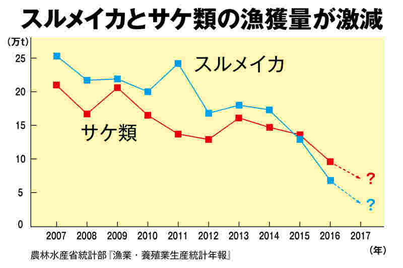 スルメイカとサケ類の漁獲量の推移を表したグラフ