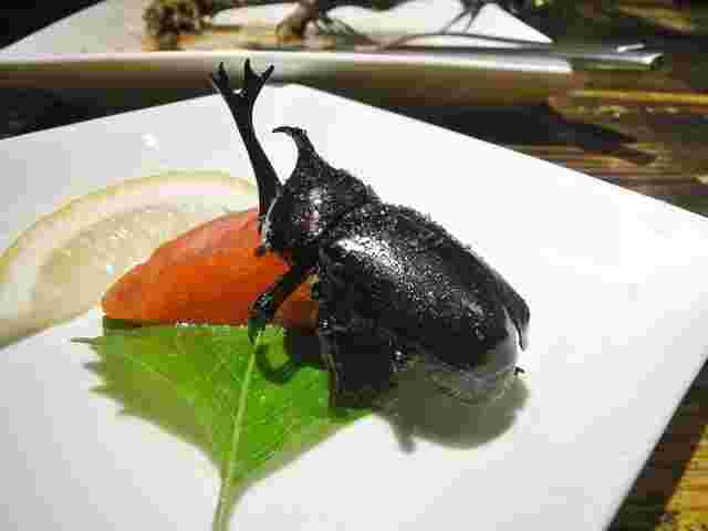 珍獣屋のカブト虫の姿焼き