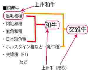 上州牛の区分