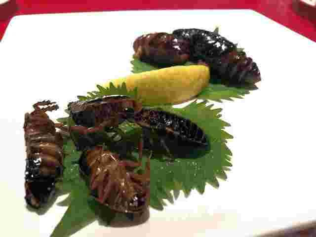 珍獣屋のコキブリの唐揚げ