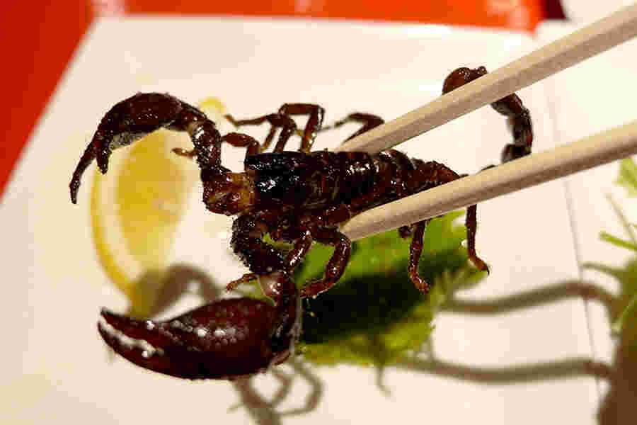 珍獣屋のサソリの姿焼き
