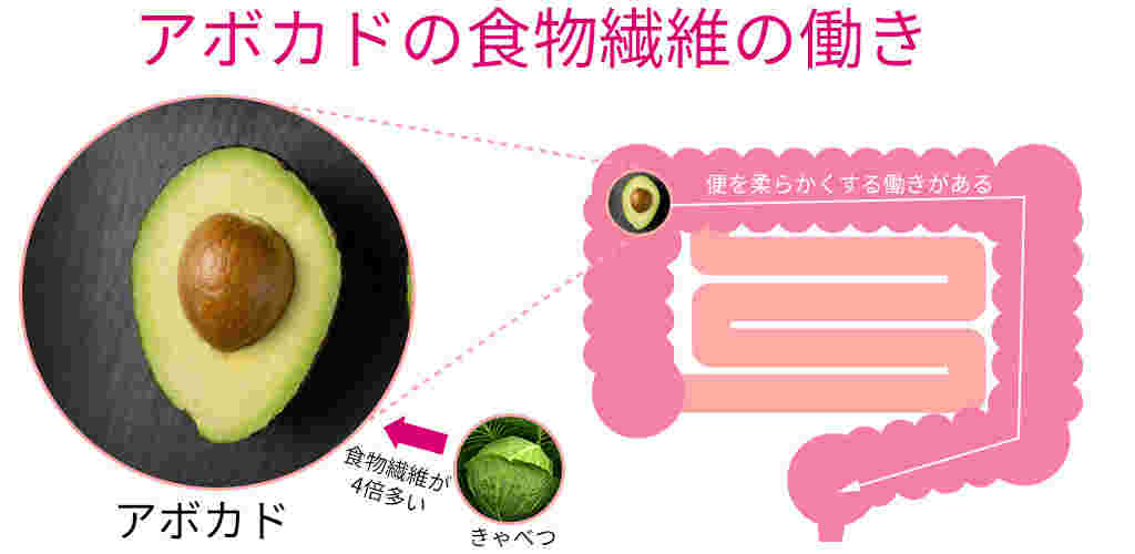 アボカドと食物繊維の働きの図