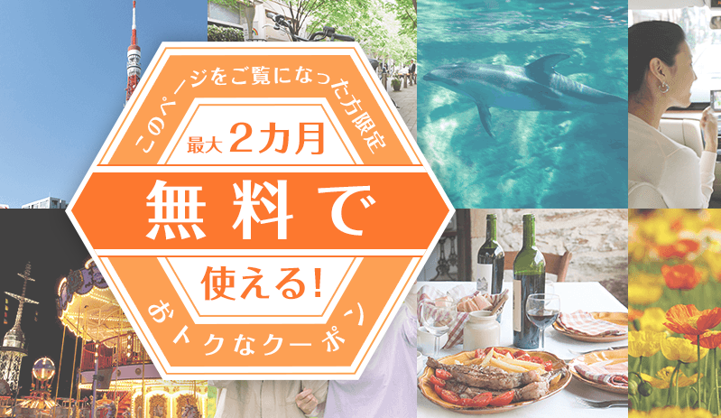 デイリーPlusの画像