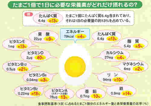 卵の栄養表