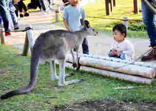 金沢動物園