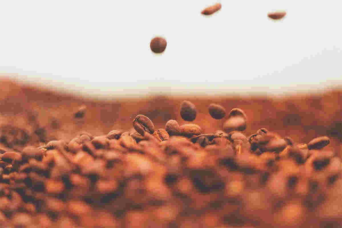コーヒー豆