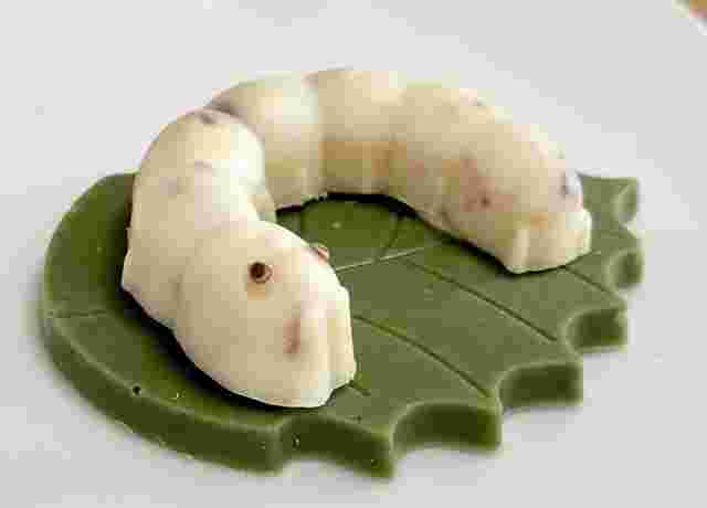 丸エイ食品「かいこの王国」