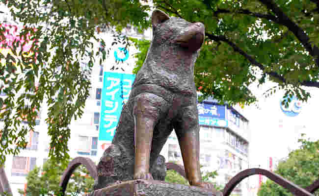 渋谷のハチ公