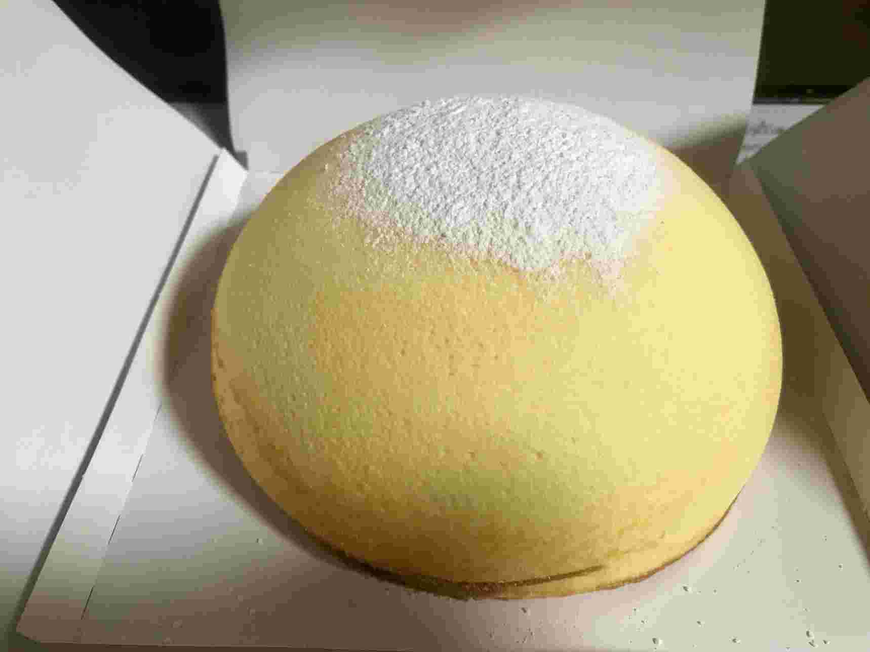 箱から出したチーズズコット