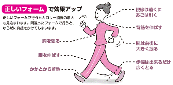 効果的なウォーキングの仕方を解説した図