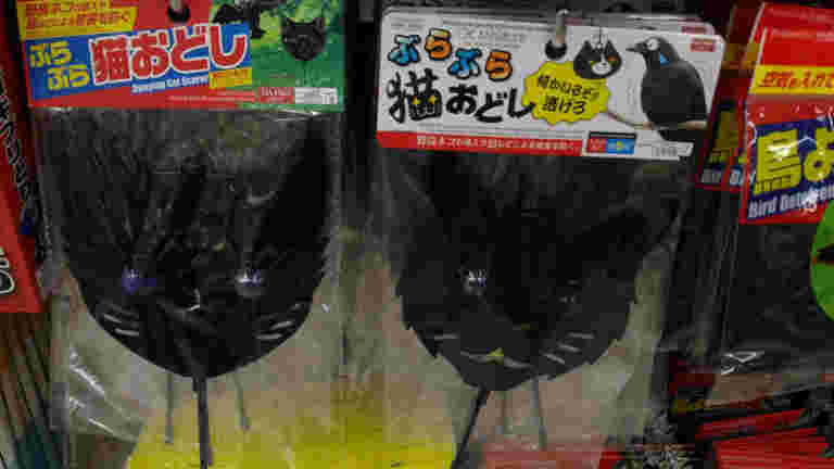 黒猫をイメージした鳥よけアイテム