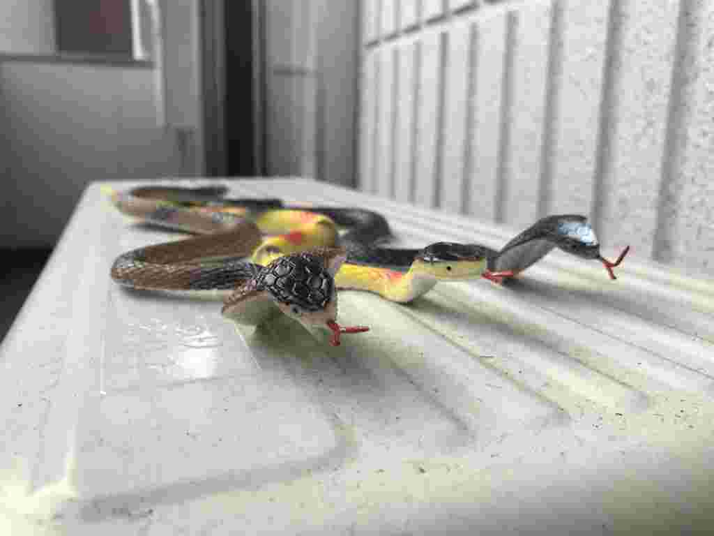 室外機の上に置かれたへびのおもちゃ