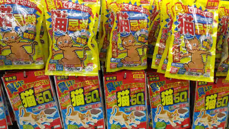 100均に売られている猫よけ