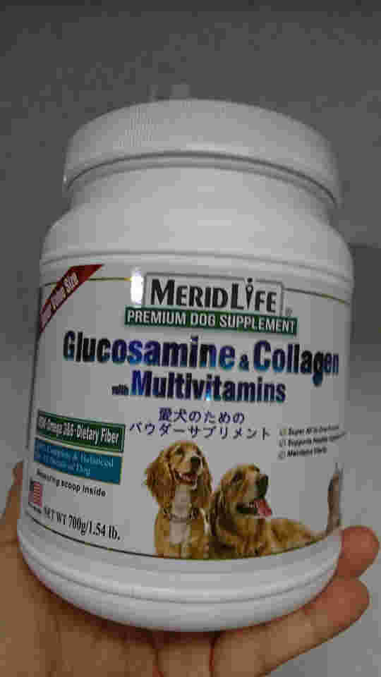 ドッグサプリメントを写している様子