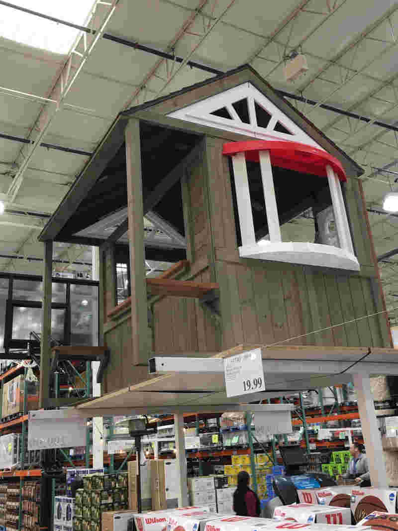 コストコの犬小屋プレイハウスを写している様子