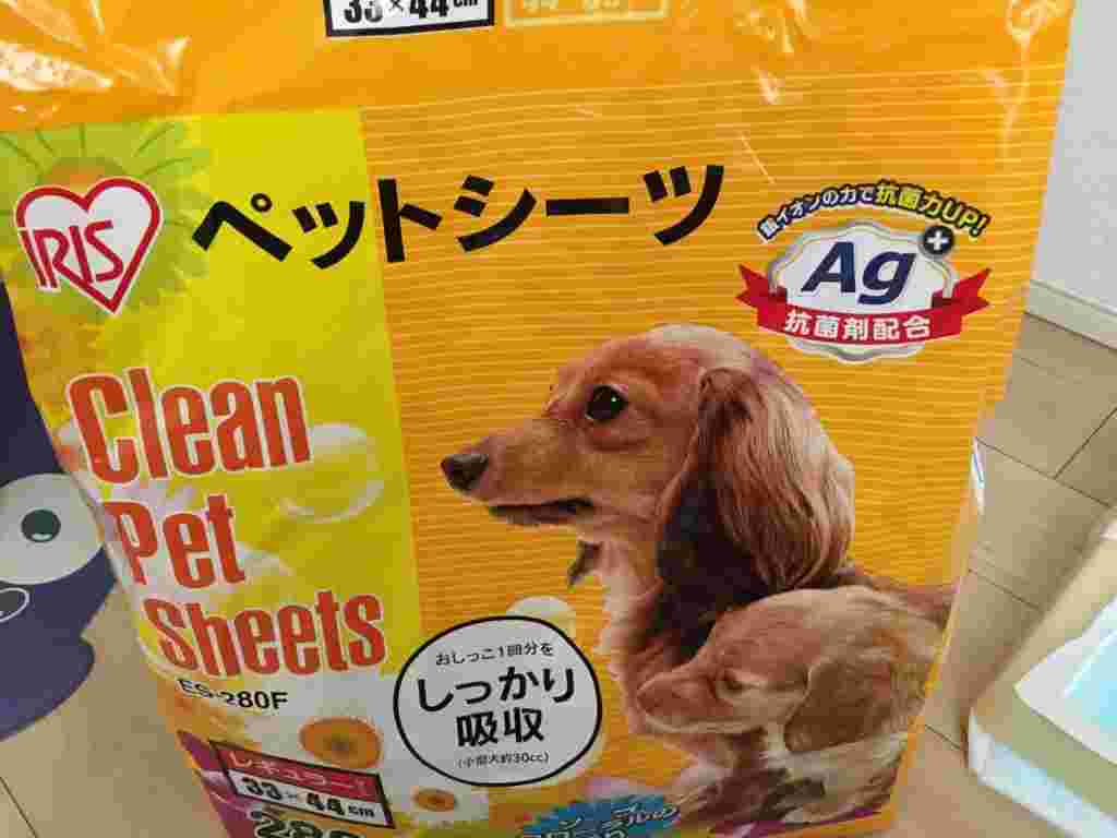 黄色の袋に入ったペット用のシーツを床に置いている様子