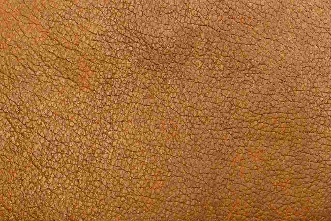 合皮の画像