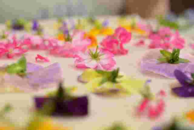 押し花を作る前の並んだ花
