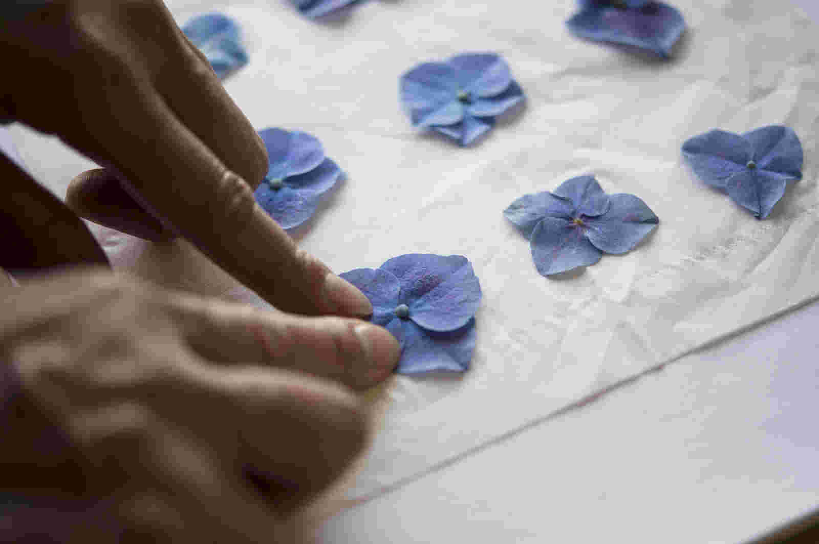 押し花を作っている様子