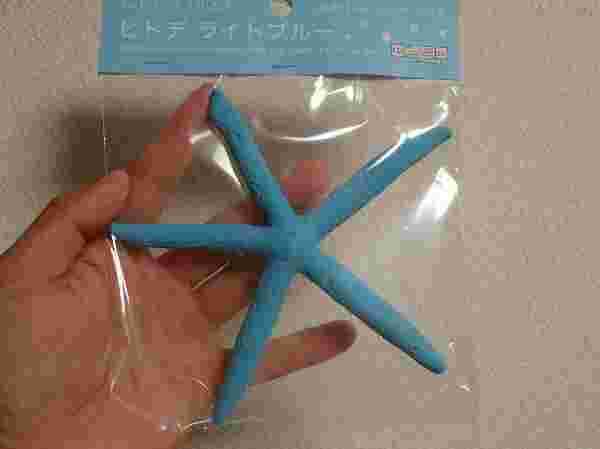 鮮やかなブルーが印象的なヒトデ