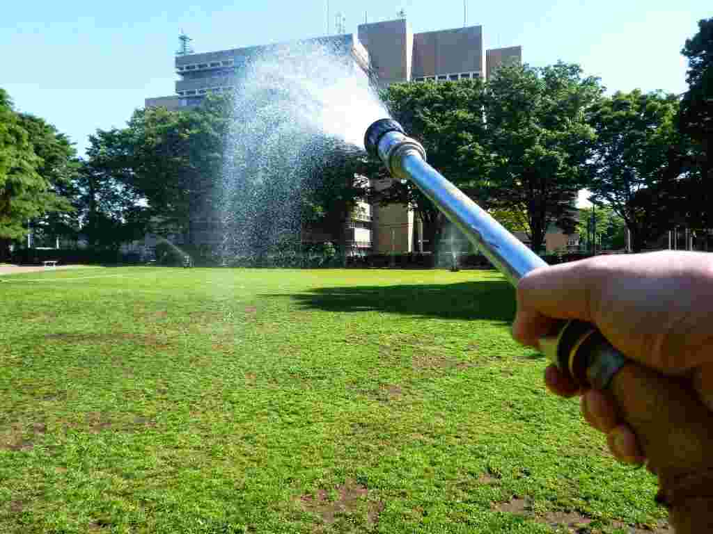 水撒きをしている様子
