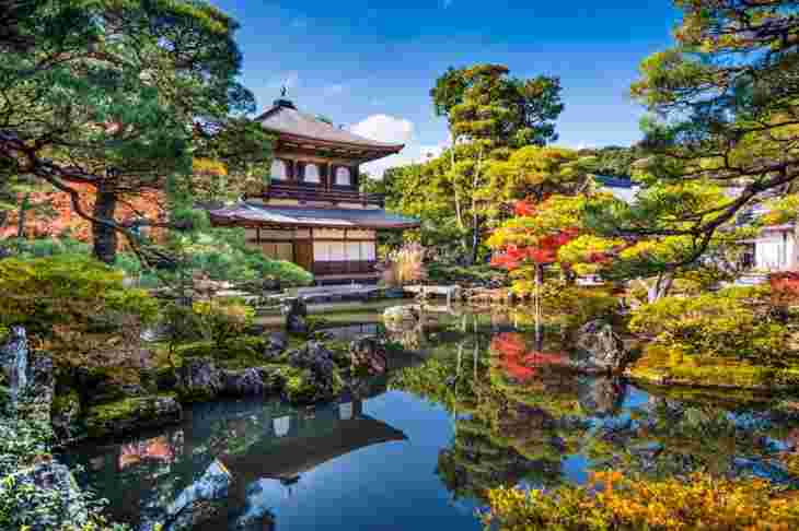 銀閣寺を囲む緑の木々