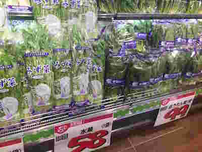 野菜売り場に陳列された水菜とほうれん草