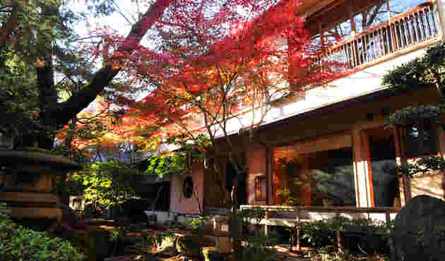紅葉を眺めることのできる庭園