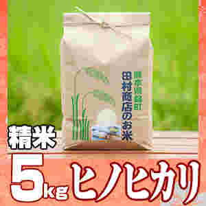 熊本県のヒノヒカリ