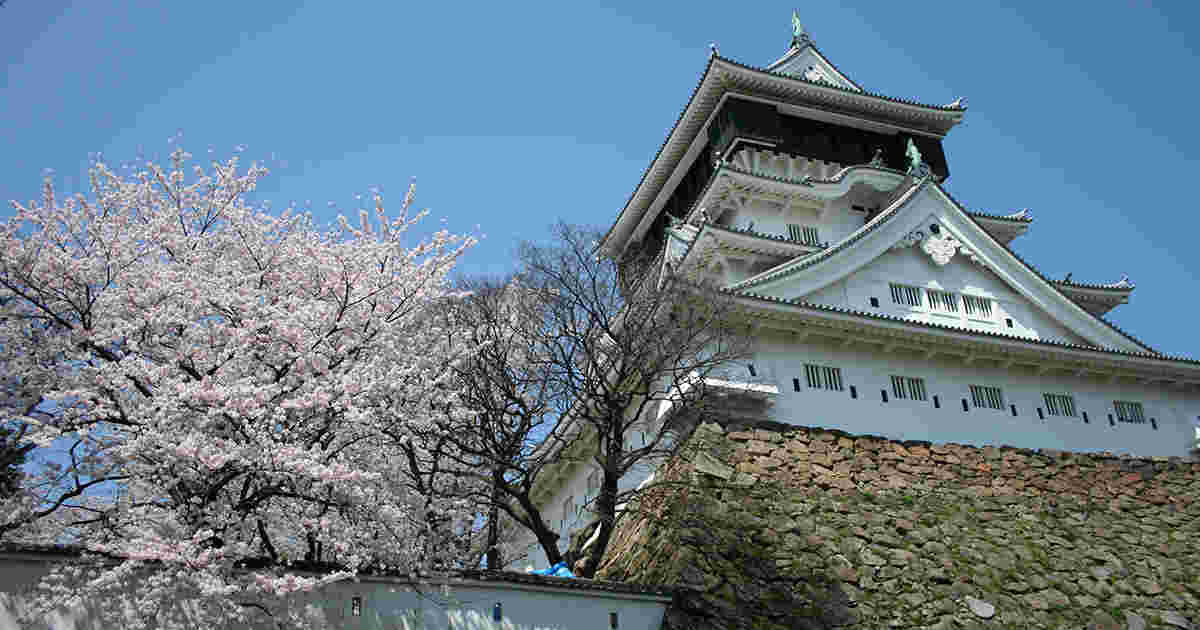 小倉城と桜の木