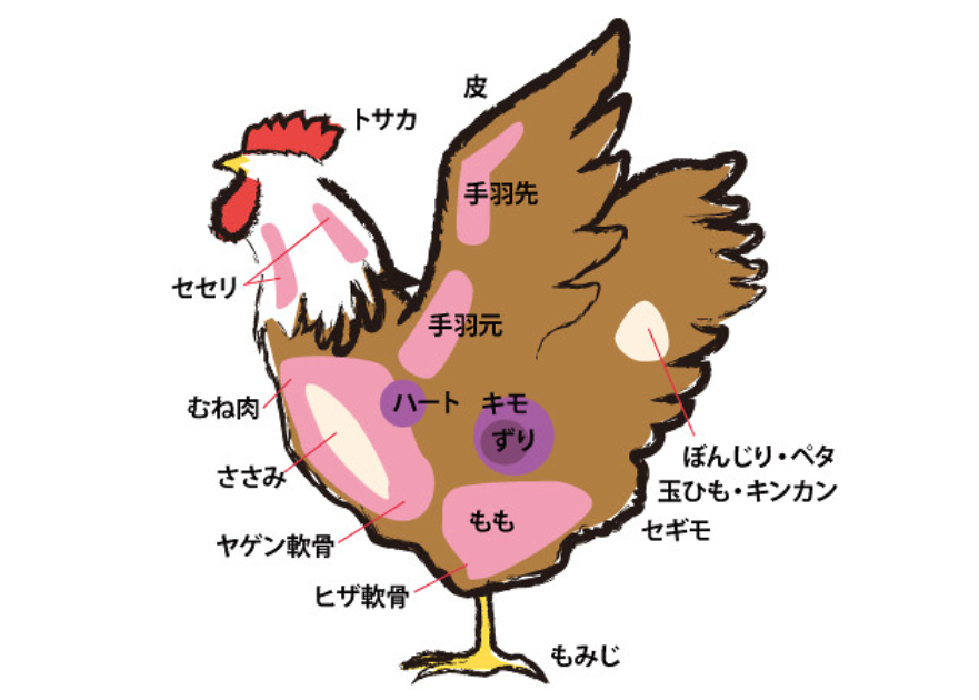 鶏のメニュー別の部位表示
