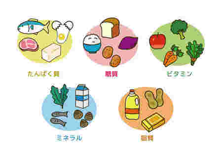 イラストで描かれた栄養素