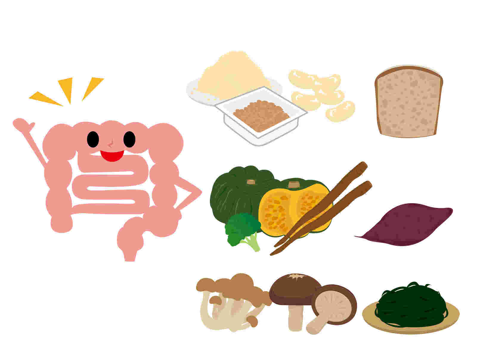 腸と食物繊維の豊富な食材