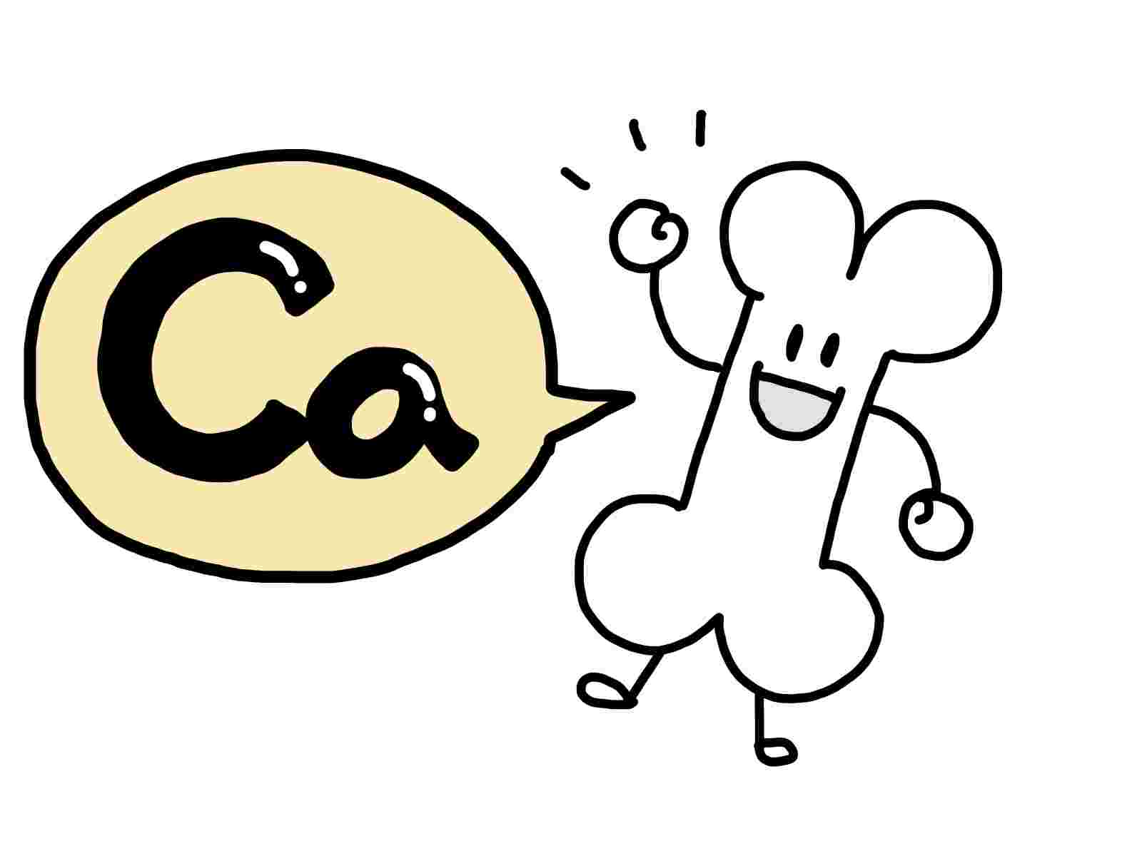 骨のキャラクター
