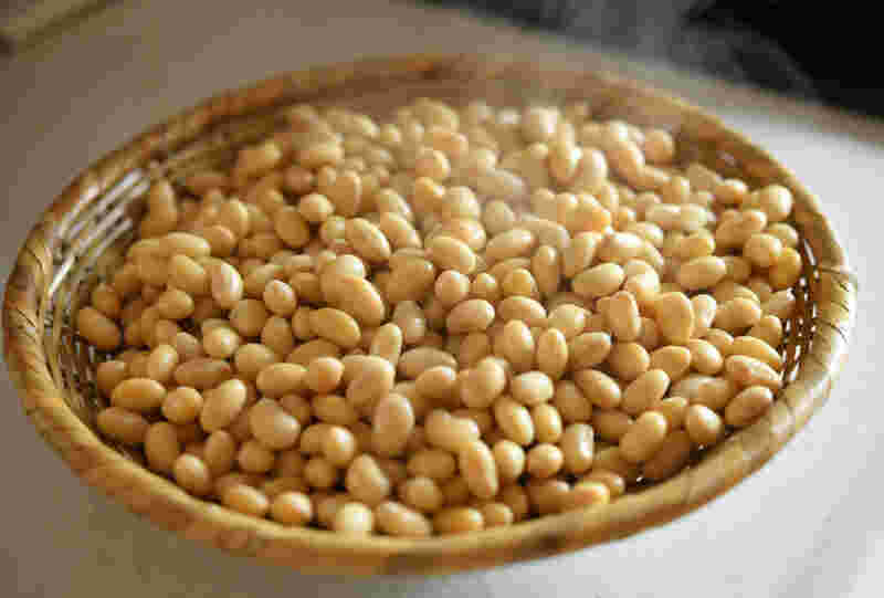 大豆画像