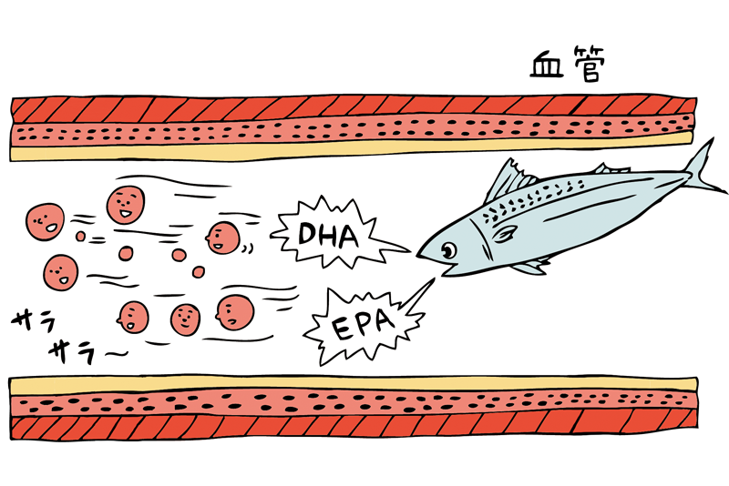 鯖のDHAとEPAが血液をサラサラにするイメージ