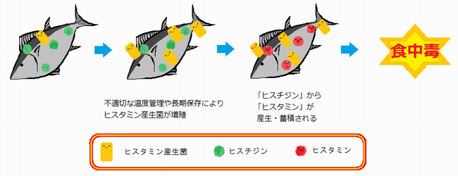 ヒスタミン食中毒のイラスト