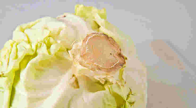 キャベツの芯を取り除くイメージ