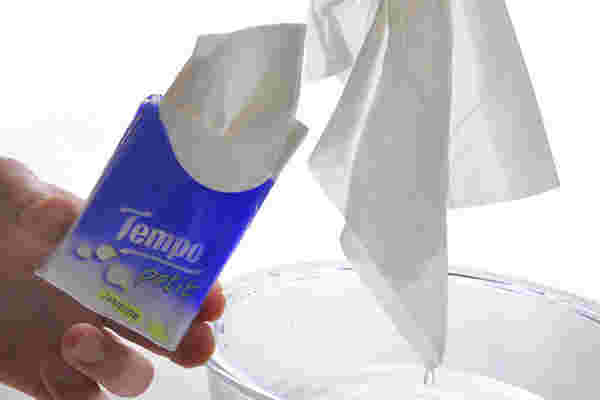 tempoティッシュを水に付けている様子