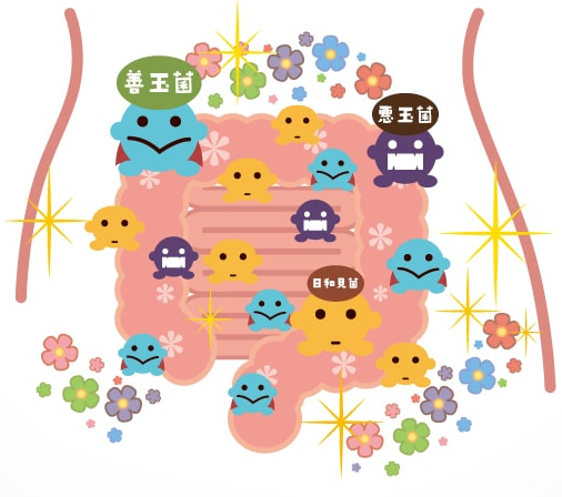 腸内の絵