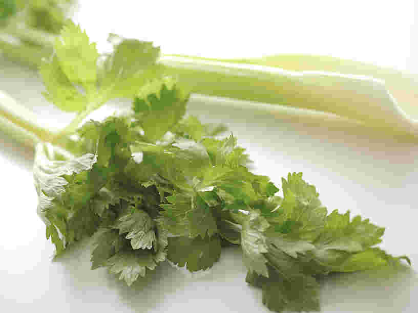 セロリの葉と茎
