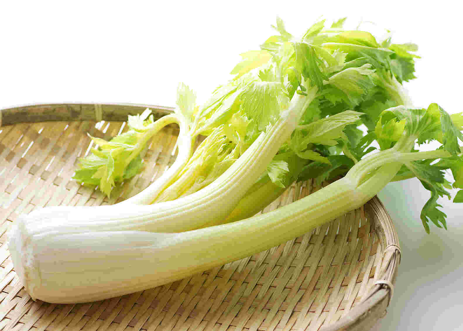 かごに乗ったセロリ
