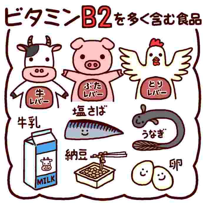 ビタミンB2を多く含む食品