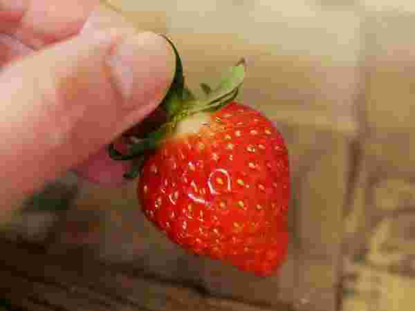 いちごのヘタを手に取って持ち上げている